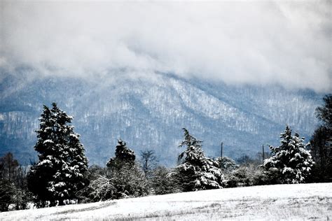 Photos: Snow in East TN January 2025