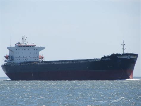 HON FA, Bulk Carrier - Details and current position - IMO 9248899 ...