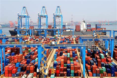 Export Examples 的图像结果