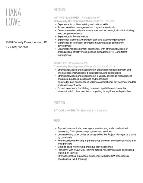 Image result for Development Officer Resume Examples