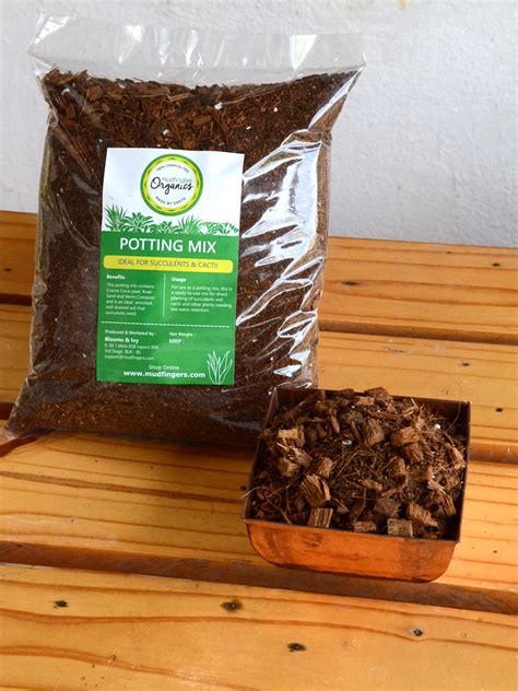 Soil Potting Mix (Succulents & Cactii) - 5 kg — Mudfingers