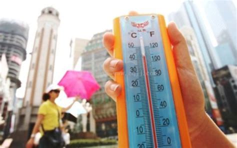 进入升温通道，最高温直冲23℃，杭州入春近在咫尺