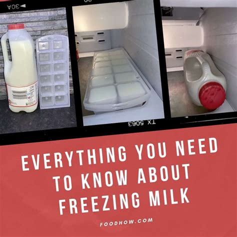 How To Properly Freeze Milk In Ice Cube Trays Or In A Carton? Learn More
