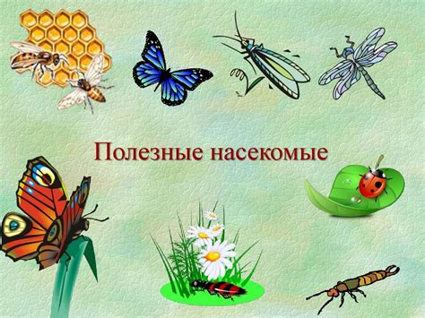 Полезные насекомые - презентация онлайн