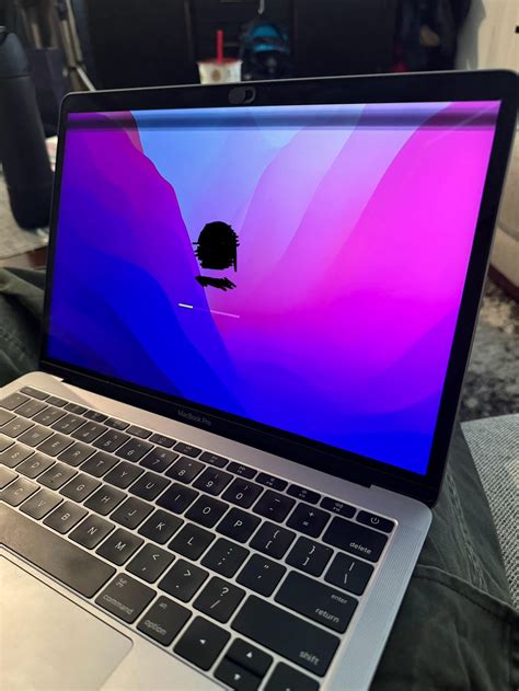 Black Horizontal Lines on Screen : r/macbookrepair
