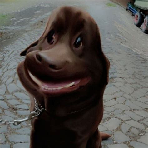 Image result for Volles Programm