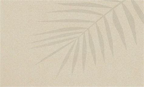 Sand Texture Vector 的图像结果