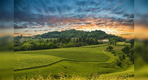 Italy’s Prosecco Hills are included in UNESCO World Heritage Sites list ...