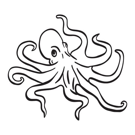Octopus Drawing Outline