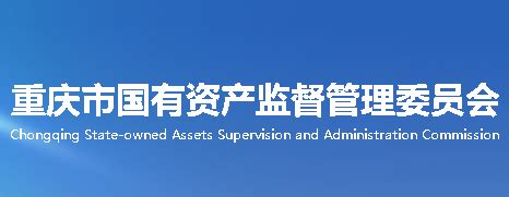 重庆市国有资产监督管理委员会(网上办事大厅)