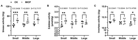 An Experimental Study to Improve the Nutrients and the Mechanical ...