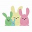 Image result for Cute Bunnies in Cups