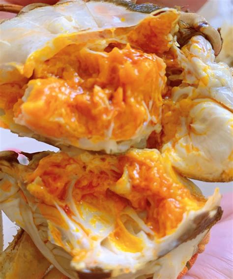 大闸蟹什么礼物好最新素材