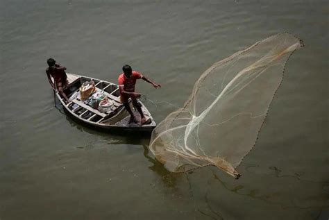 Illegal fishing: 220 cases registered, over Rs 2.2L recovered in fines