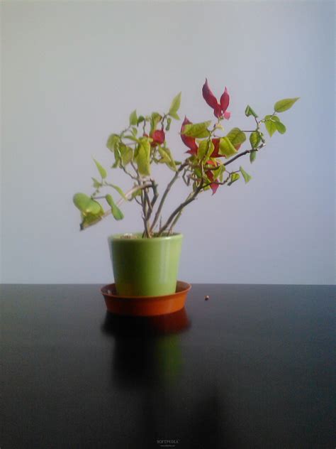 LG Gd886 的图像结果