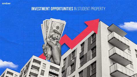 Student Housing: The Hidden Gem of Real Estate Investment | Amber News
