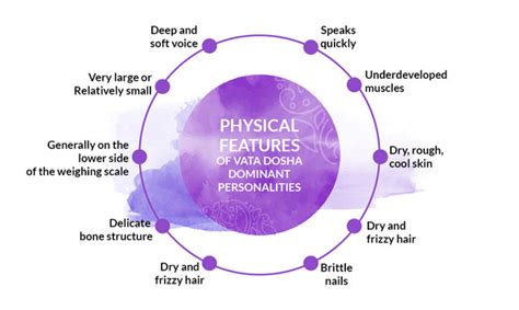 Understanding Vata Dosha: Symptoms, Body Type, Characteristics, Treatm ...