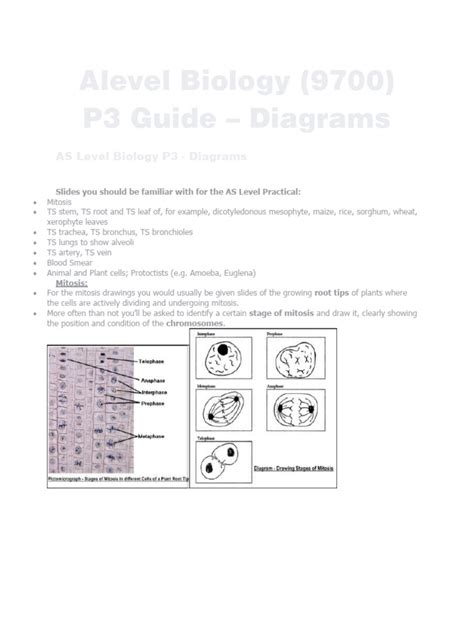 Image result for P3 Program Brochure