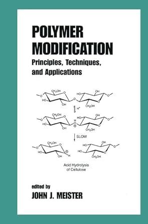 Polymer Modification: Principles, Techniques, and Applications: 60 ...
