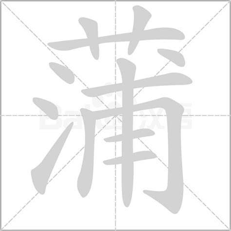 蒲字笔顺笔画顺序_蒲的笔顺怎么写正确_蒲字怎样写好看_蒲字拼音,部首,字帖_汉字笔顺查询网