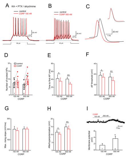 Excitatory Effects of Calcitonin Gene-Related Peptide (CGRP) on ...