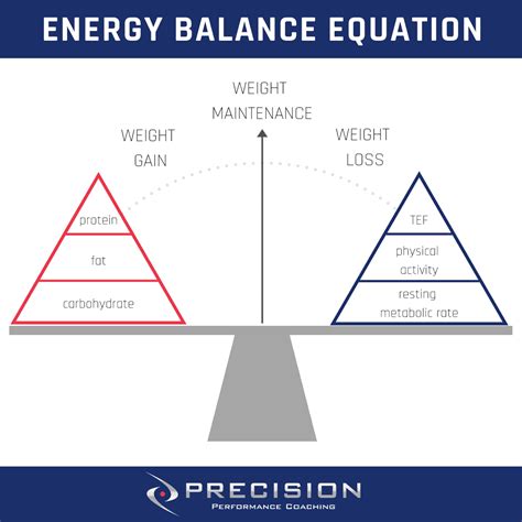 Performance Training for Body Composition (& the Energy Balance ...