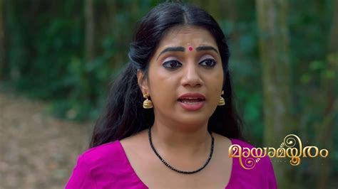 Watch Mayamayooram TV Serial 29th April 2024 Full Episode 100 Online on ...