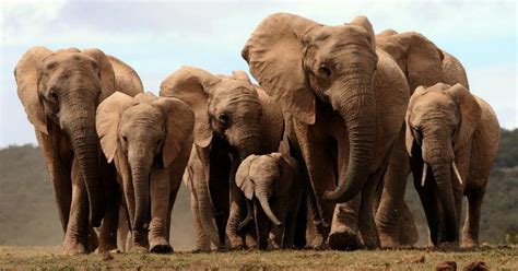 How The Power Of Sound & Artificial Intelligence Are Saving The Lives ...