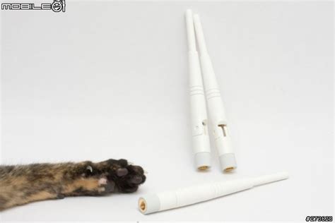 養動物專用 Vigor 2820n - Mobile01