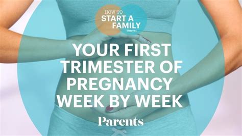 First-Trimester Weeks 的图像结果
