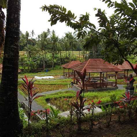 KOPI KEMENUH (2026) All You Need to Know BEFORE You Go (with Photos ...