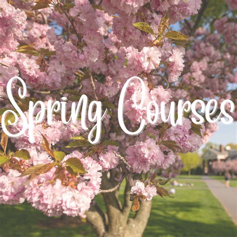 Course Information - Bucknell History Department