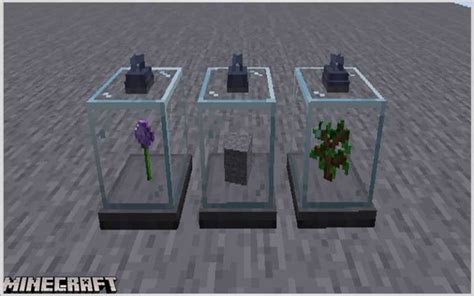 Image result for Minecraft Display Case Mod