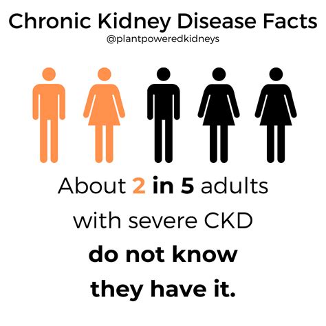 Stage 5 Kidney Disease Diet From a Renal Dietitian