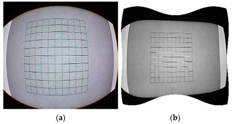 A New Camera Calibration Technique for Serious Distortion