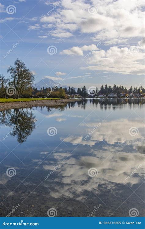 Landscapes of Lake Tapps Park in Spring Stock Image - Image of nature ...