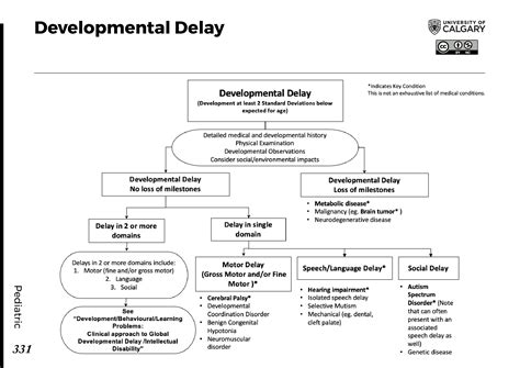 Signs Of Developmental Delay | A