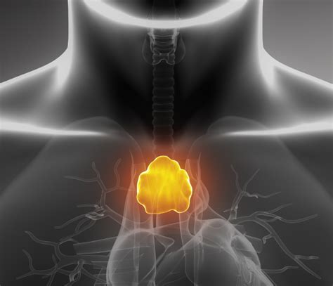 Image result for What Is Thymic Involution