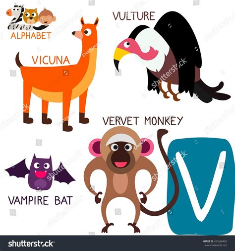Cute Animal Zoo Alphabet Letter V Stock Vector (Royalty Free) 451666402 ...