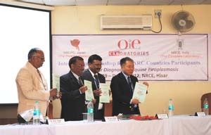 International Workshop on Molecular Diagnosis of Equine Piroplasmosis ...