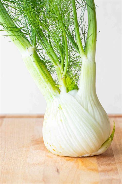Fennel Vegetable Finale Fennel Organic Seeds – Hudson Valley Seed