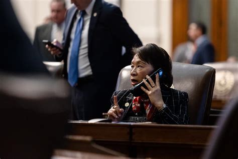 In a North Texas House race, two Asian candidates campaign on their ...