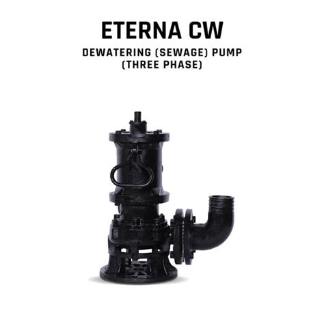 KIRLOSKAR ETERNA 5500 CW+, 7.5 HP, Three Phase, 415 Volts, Size 80mm ...