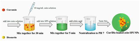 Co-Encapsulation of Curcumin and Diosmetin in Nanoparticles Formed by ...