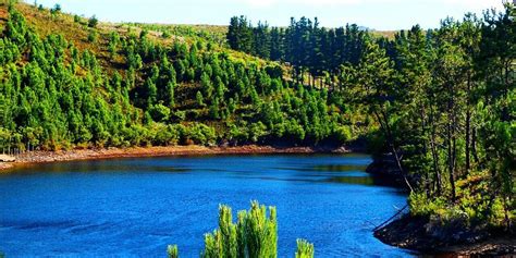 Elgin Tourism (2021): Best of Elgin, South Africa - Tripadvisor