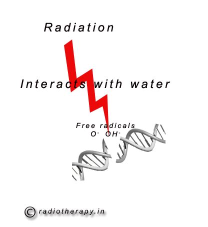 Radiotherapy | Targeting Cancer