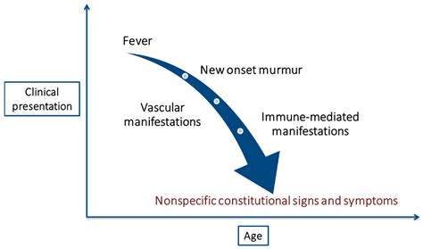 Infective Endocarditis in the Elderly: Challenges and Strategies