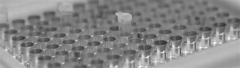 Multiplex panels | Infexn Laboratories