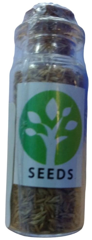 Ada Doaqua Dwarf Hairgrass Seeds