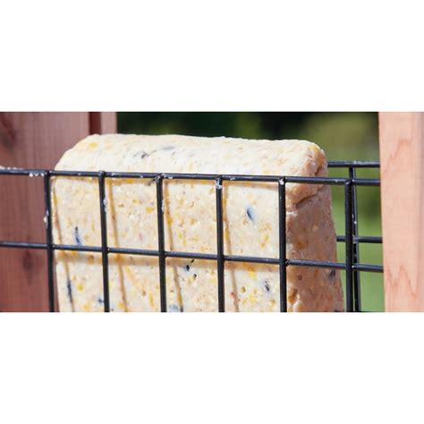 National Audubon Society High Energy Multi- Pack Suet 009476 at Lowes.com